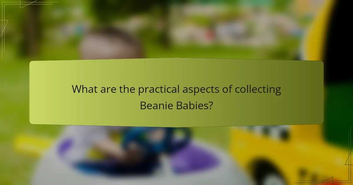 What are the practical aspects of collecting Beanie Babies?
