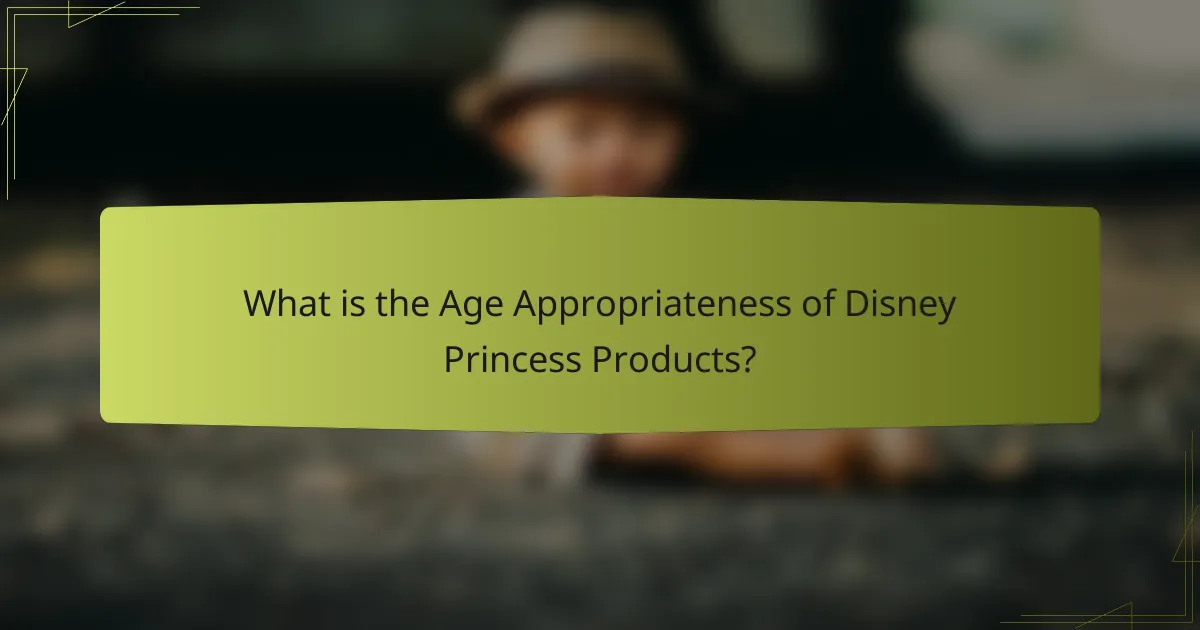 What is the Age Appropriateness of Disney Princess Products?