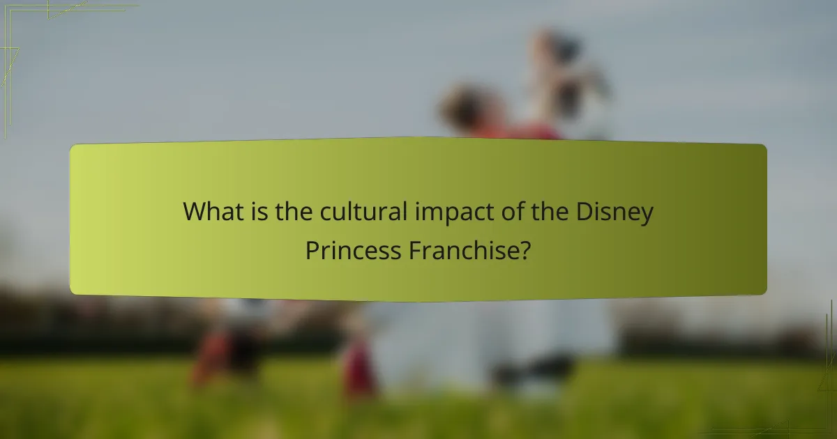 What is the cultural impact of the Disney Princess Franchise?