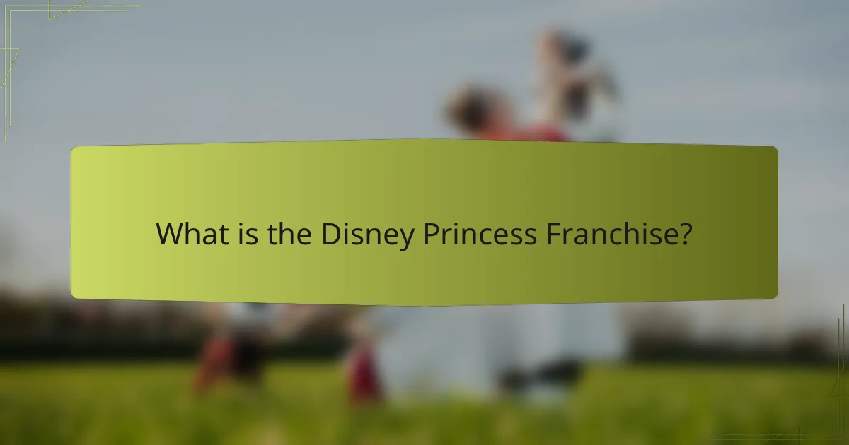 What is the Disney Princess Franchise?