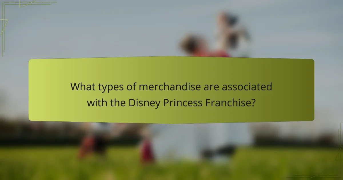 What types of merchandise are associated with the Disney Princess Franchise?